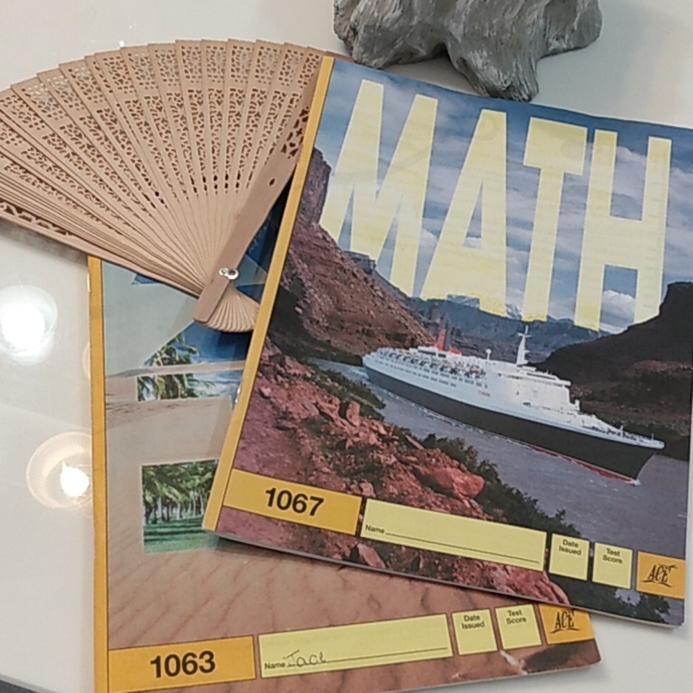 Ace School of Tomorrow Math Paces